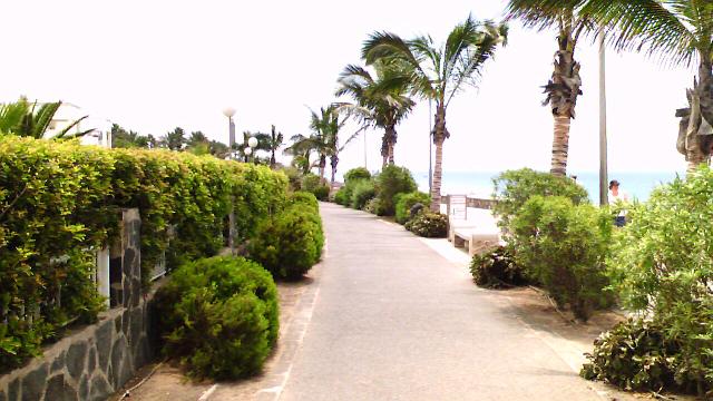 Grancanaria 2007-54.jpg